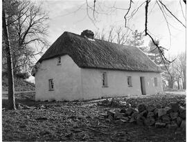 Irish cottage at Shannon Shamrock Hotel
