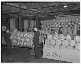 Loading Lana Knit cargo in the Aer Lingus sheds