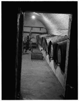 Wine cellar in Limerick