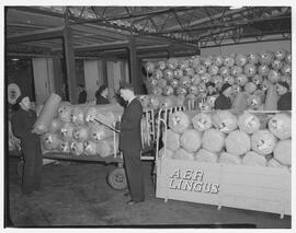 Loading Lana Knit cargo in the Aer Lingus sheds