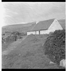 Cottage near black head