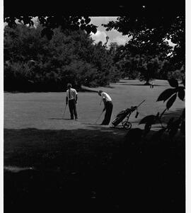 Golfing at Adare
