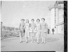 Five Rose of Tralee finalists