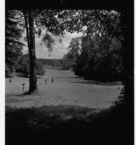 Golfing at Adare