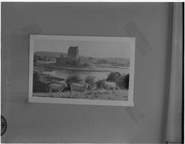 Copy of Dunguaire Castle