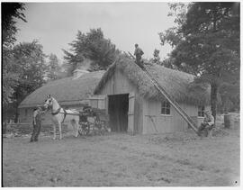 Bunratty folk park - Barn