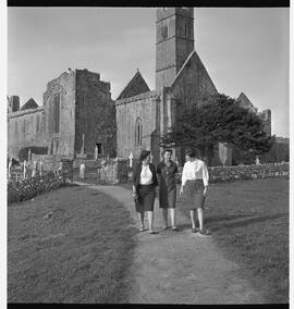 Hearts and flowers group at Quin Abbey
