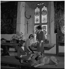 Tour girls with wolfhound in main hall