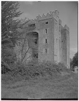 Bunratty Castle - Exterior