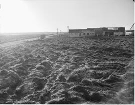 Shell oil - special photograph job