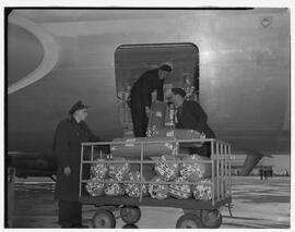 Lana Knit sending goods by Irish International Airlines