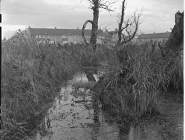 Creek behind industrial estate