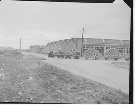 Lana Knit Factory trucks passing Progress International Factory