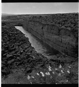 Bog in Ennistymon