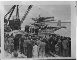 Foynes Piggyback Plane