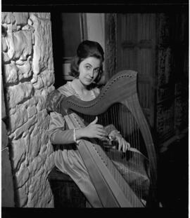 New harpist at Bunratty Castle