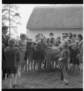 Tullyglass school children at Bunratty Folk Park