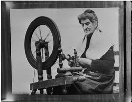 Spinning wheel