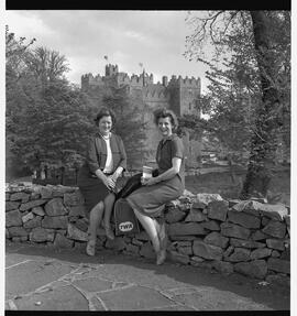 Hearts and flowers group at Bunratty