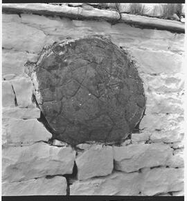 Fossil remains at Ennistymon