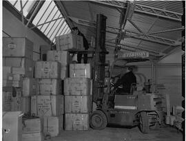 Lep Shipping Company - Forklift