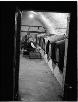 Wine cellar in Limerick