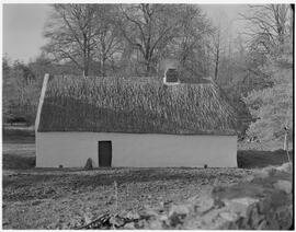Irish cottage at Shannon Shamrock Hotel
