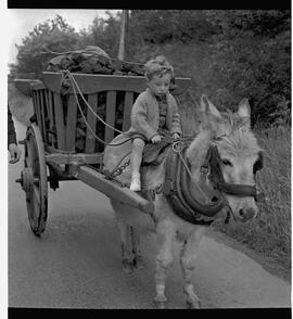 Young boy on turf cart