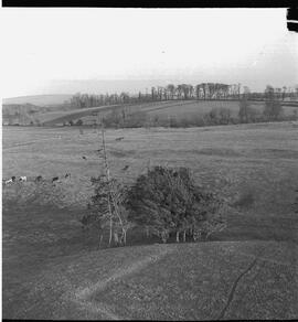 Knappogue Castle