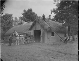 Bunratty folk village - Barn