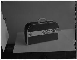 Aer Lingus mail order bag