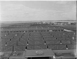 View of factories - Oil tanks