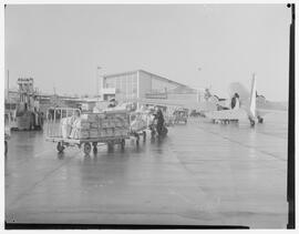 Aer Lingus boarding 4 1/2 tons of Progress International freight