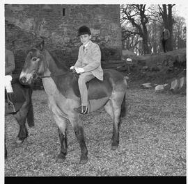 Hunt at Bunratty Castle