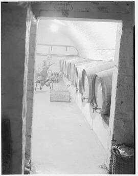 Wine cellar in Limerick