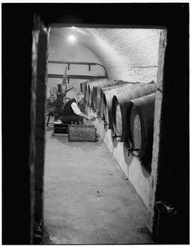 Wine cellar in Limerick