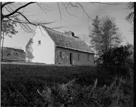 Irish cottage at Shannon Shamrock Hotel
