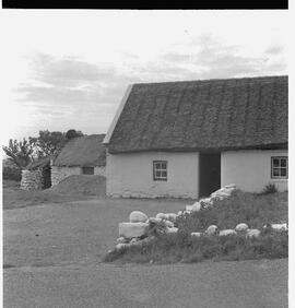 Cottage near black head