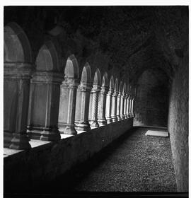 Quin Abbey