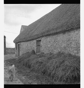 Barn at J. Powell's house