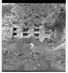Birchfield House - duck