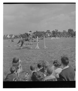 Clarecastle Horse Show