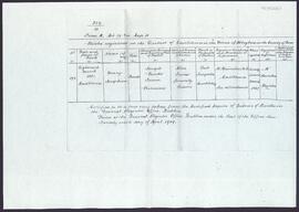 Photocopy of a birth certificate of Mary Josephine née Irwin
