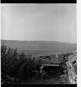 Birchfield House - view