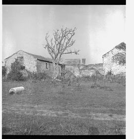 Birchfield House