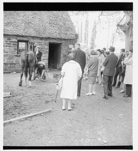 Bunratty Folk Park