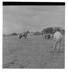 Clarecastle Horse Show