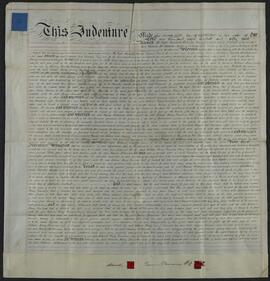 Fee farm grant to Thomas McNamara of part of South Priors Land