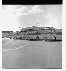 Medieval Tour buses line up