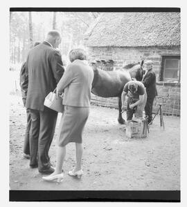 Bunratty Folk Park